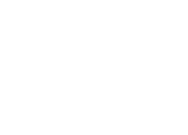 Morris × Opazo